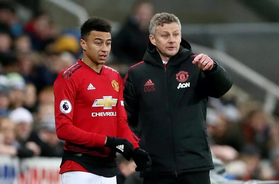 齐勒在汉诺 齐勒在汉诺