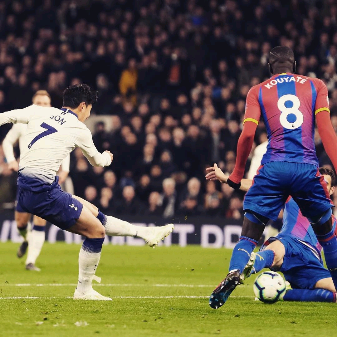 定不仅展示 定不仅展示